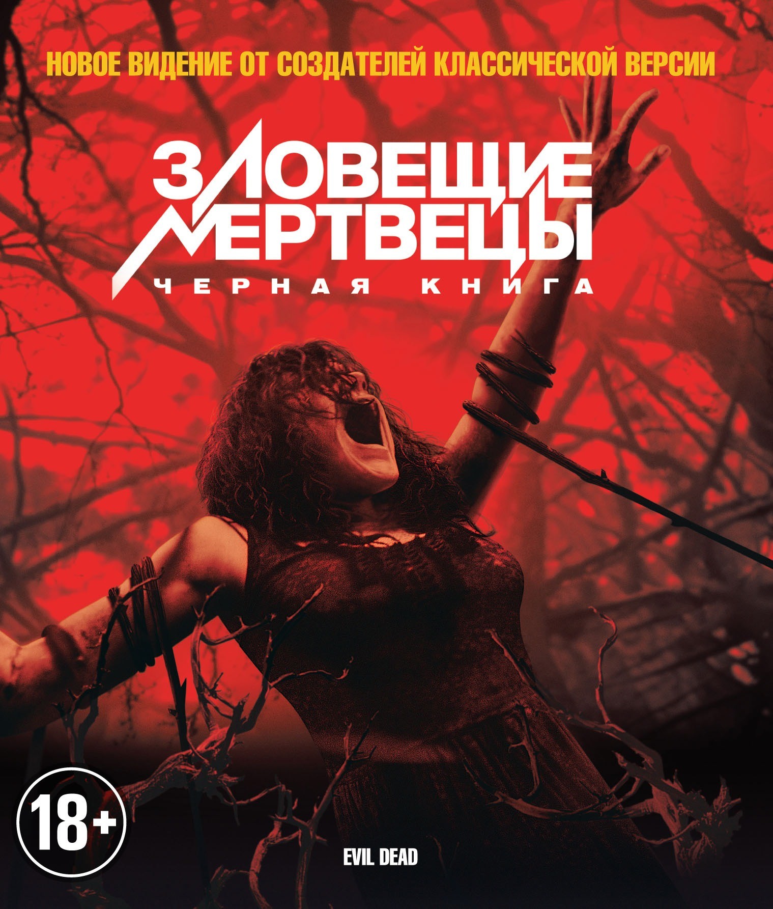 Постер к Зловещие мертвецы: Черная книга / Evil Dead (2013)