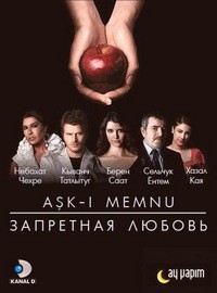 Постер к Запретная любовь / Aşk-ı Memnu 1-2 сезон (2008-2009) 158 серий