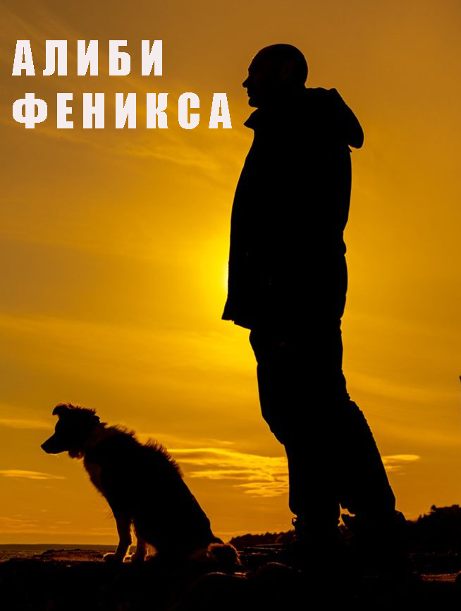 Постер к Алиби Феникса (2022)
