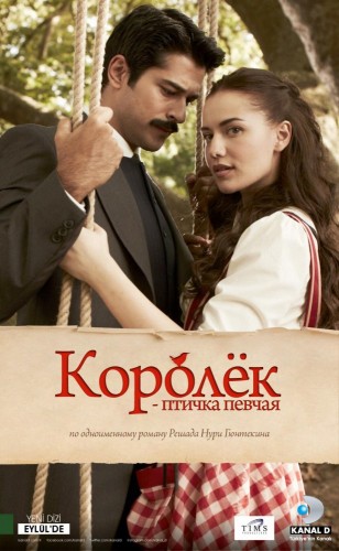 Постер к Королек - птичка певчая / Çalıkuşu (2013-2014)