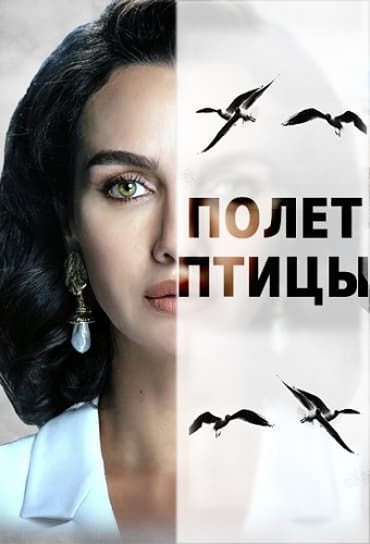 Постер к Полёт птицы / Kuş Uçuşu / As the Crow Flies (2022)