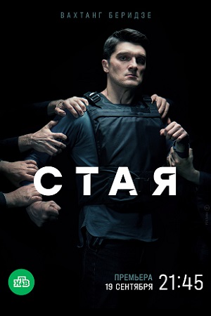 Постер к Стая 1 - 20 серия (2022, НТВ) сериал