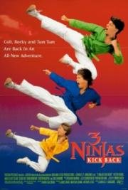 Постер к Три ниндзя наносят ответный удар / 3 Ninjas Kick Back (1994)