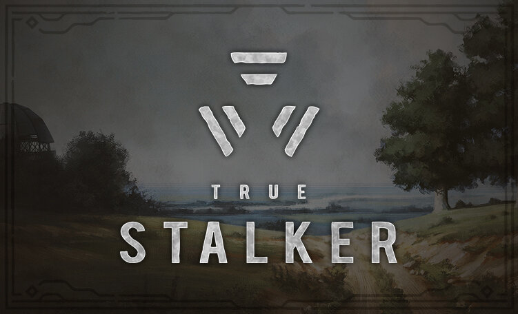 Сталкер True Stalker (2023) изображение