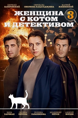 Женщина с котом и детективом 3 сезон (2024, сериал, Россия) 1-4 серия картинка