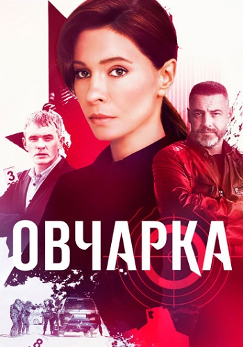 Овчарка (2024, сериал, Россия) 1-16 серия картинка